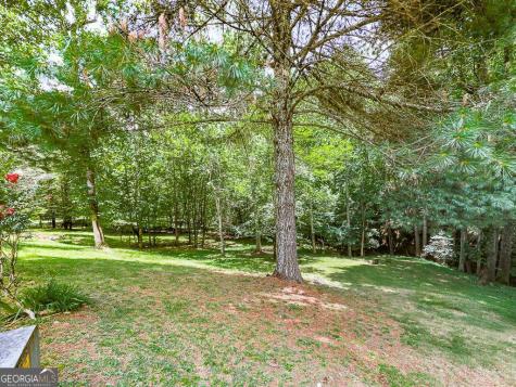 314 Spring Creek Blairsville GA 30512