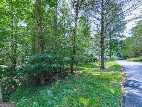 314 Spring Creek Blairsville GA 30512