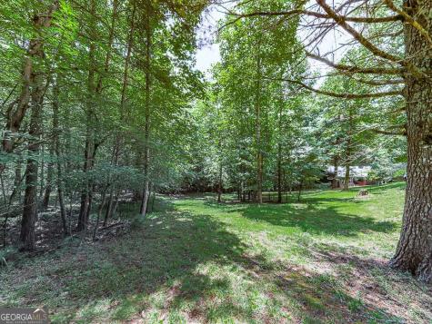 314 Spring Creek Blairsville GA 30512
