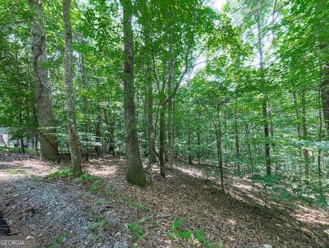 314 Spring Creek Blairsville GA 30512