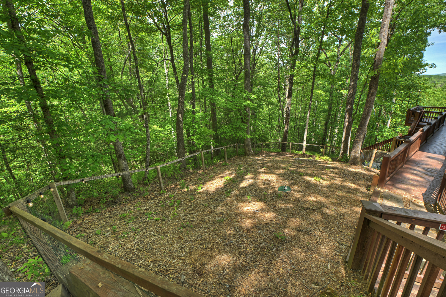 40 Joanna Court Cherry Log GA 30522