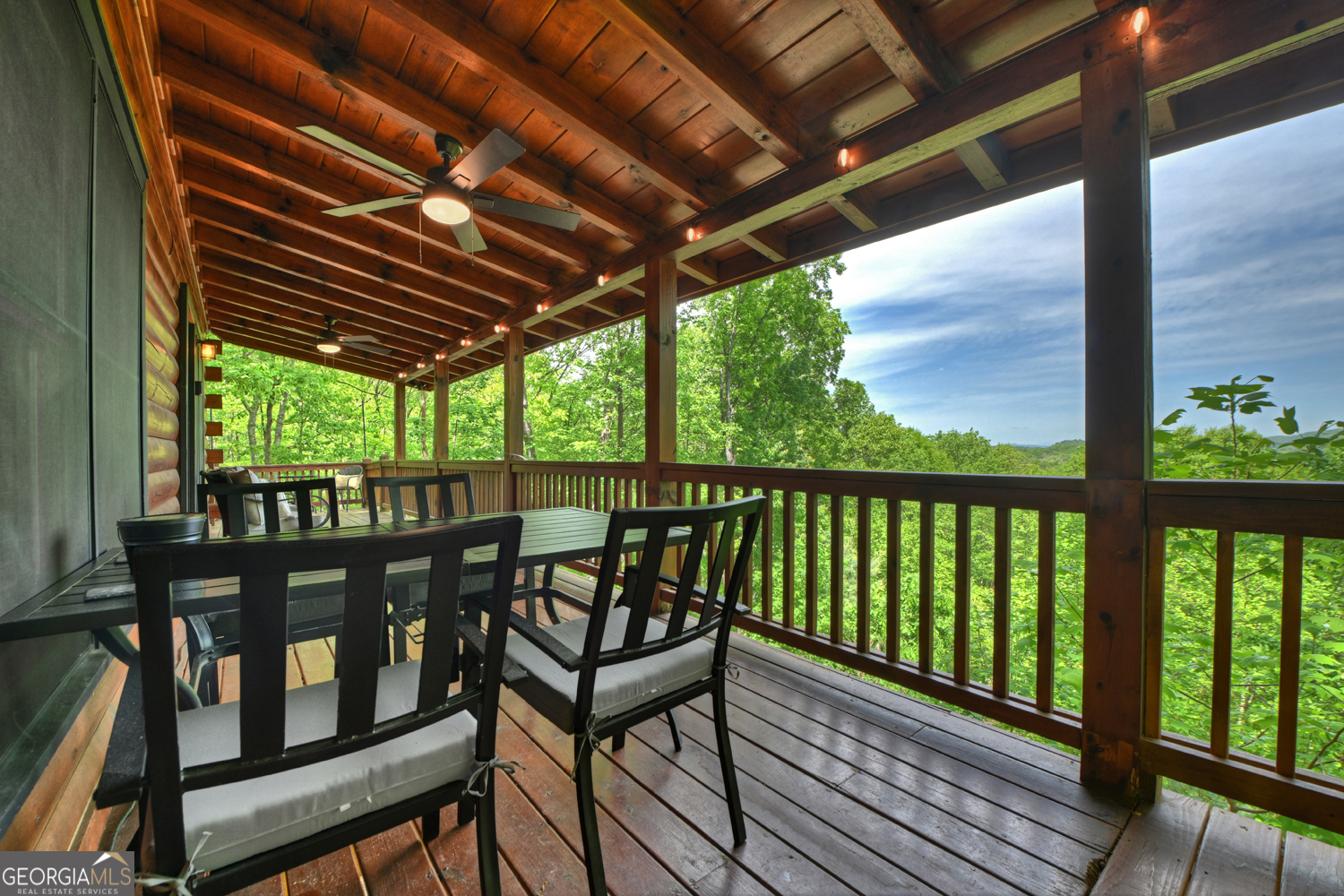 40 Joanna Court Cherry Log GA 30522