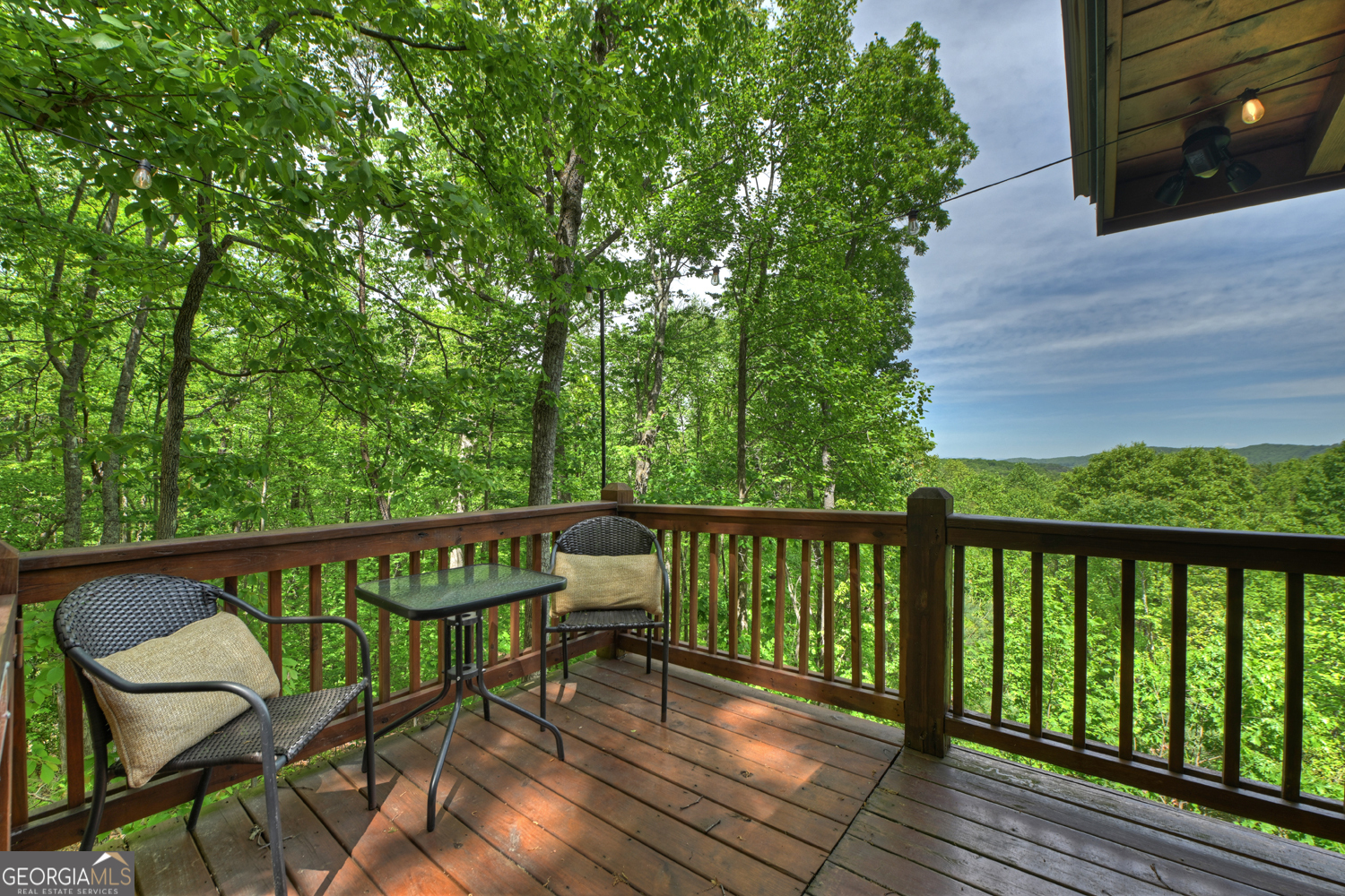 40 Joanna Court Cherry Log GA 30522