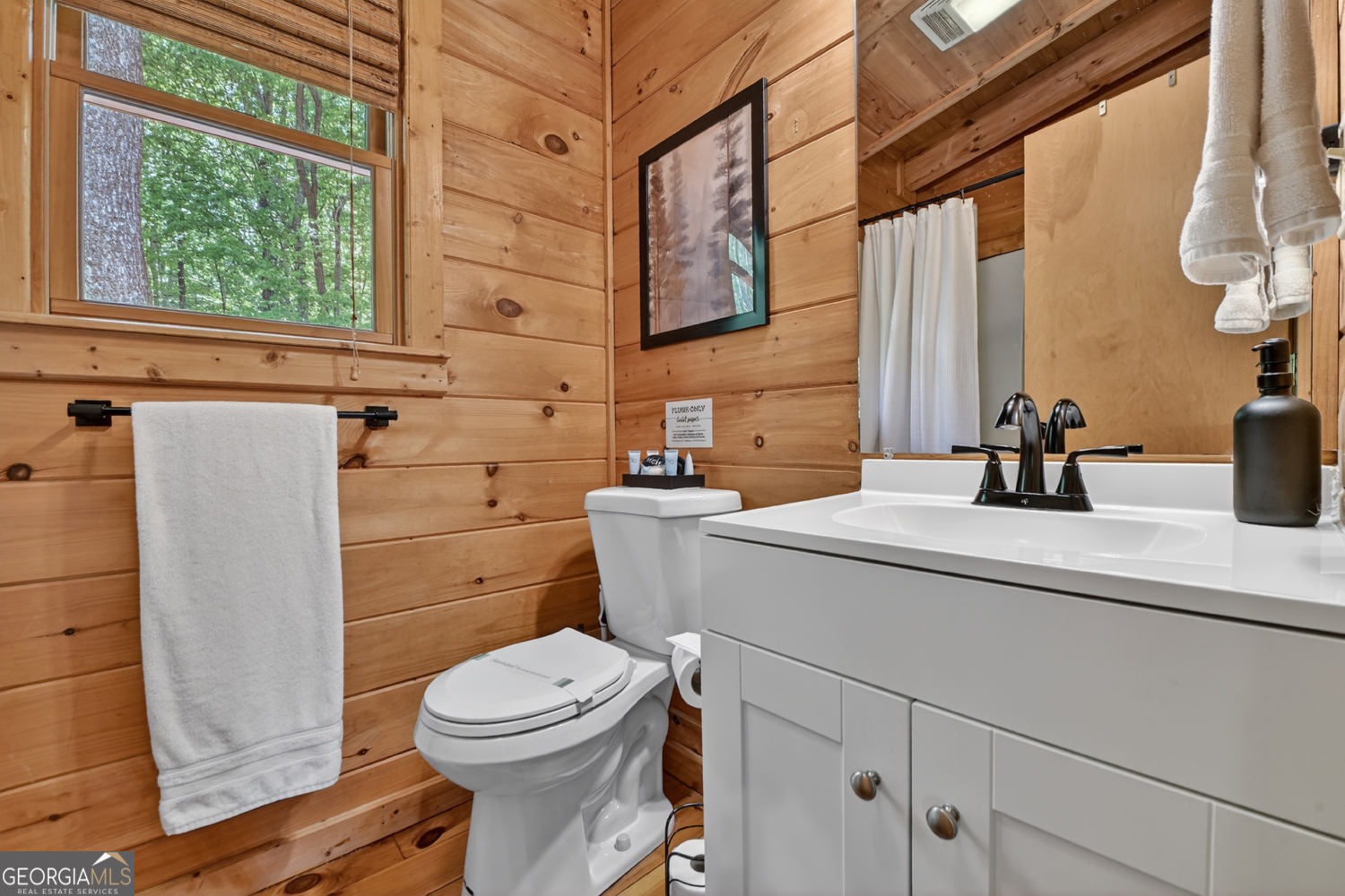 40 Joanna Court Cherry Log GA 30522
