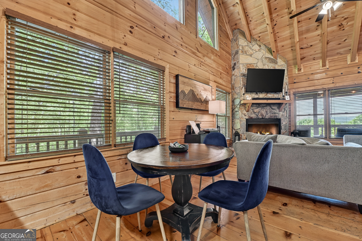 40 Joanna Court Cherry Log GA 30522