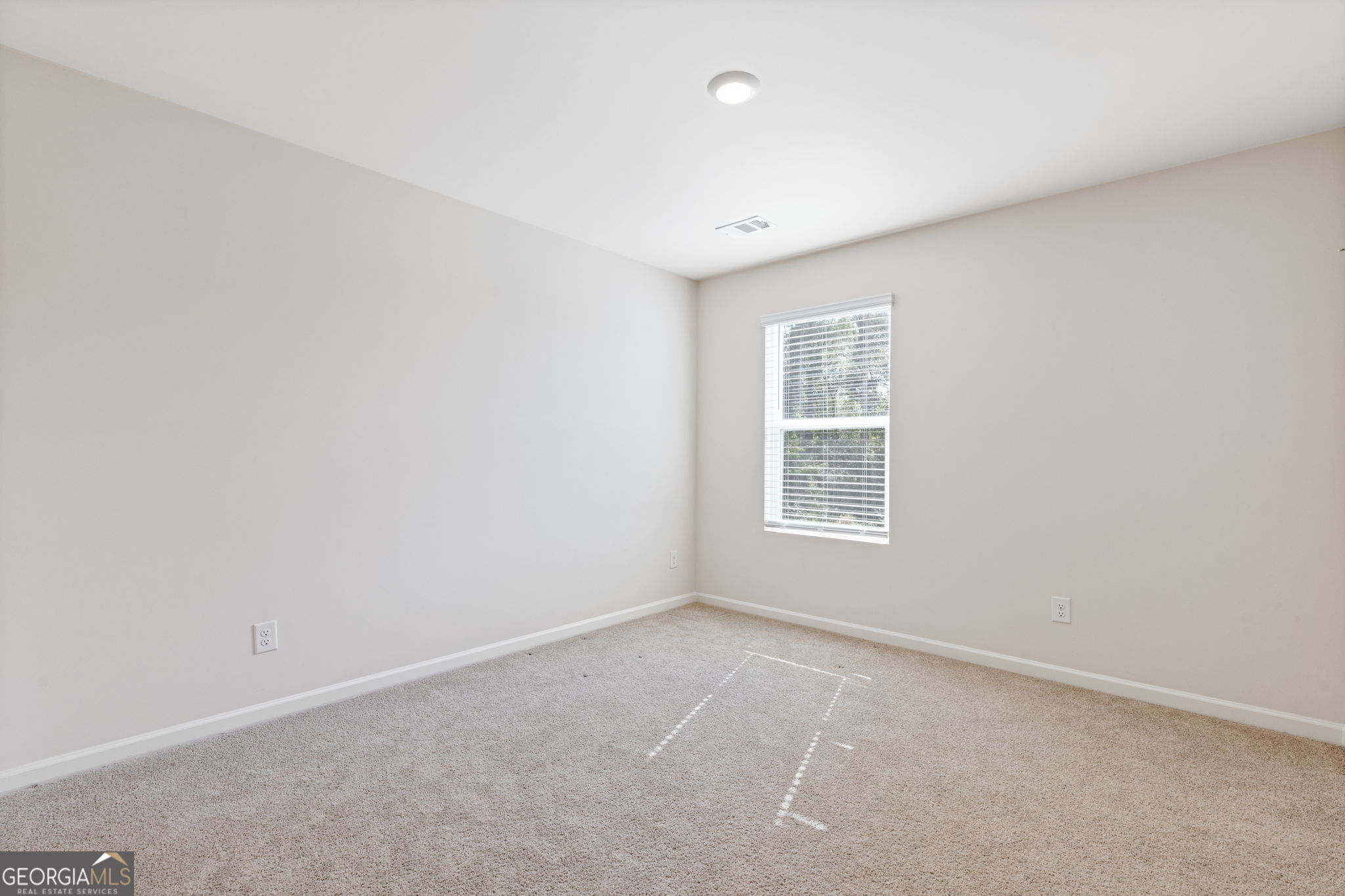 6000 Screech Owl Drive Flowery Branch GA 30542