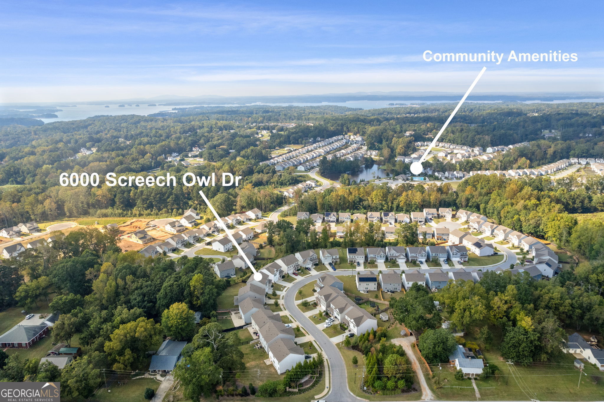 6000 Screech Owl Drive Flowery Branch GA 30542