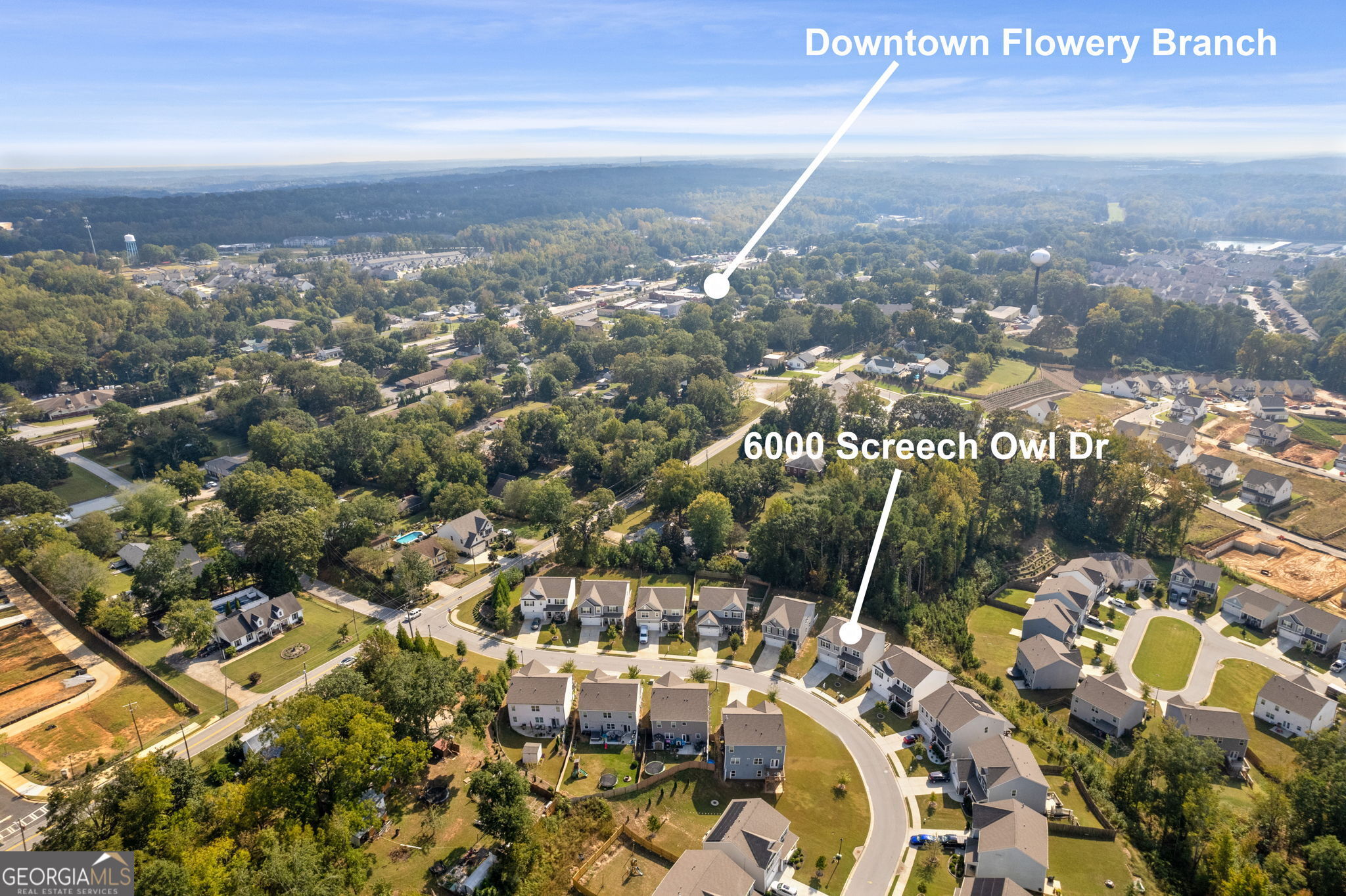 6000 Screech Owl Drive Flowery Branch GA 30542