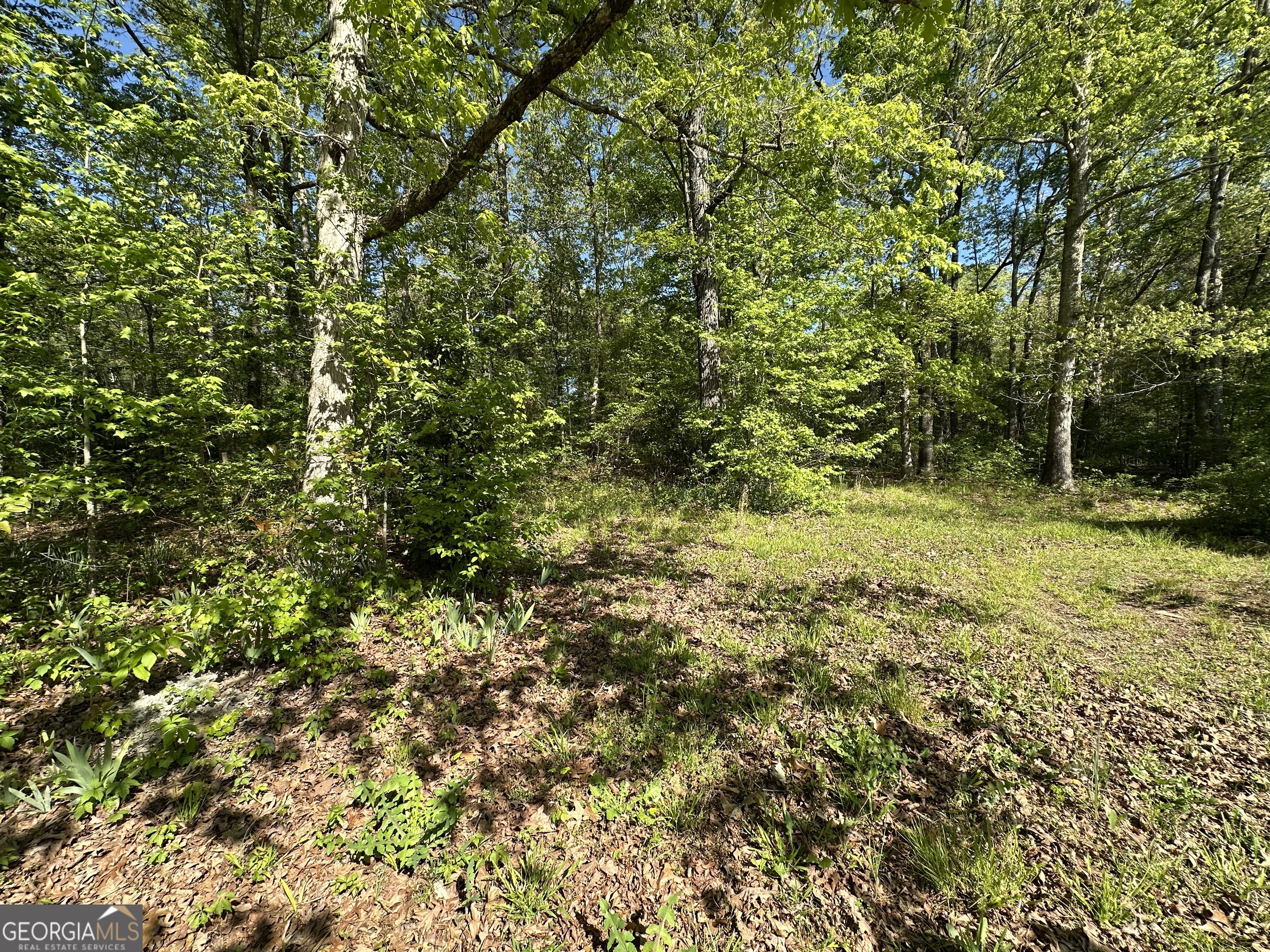 885 Turner Bridge Road Meansville GA 30256