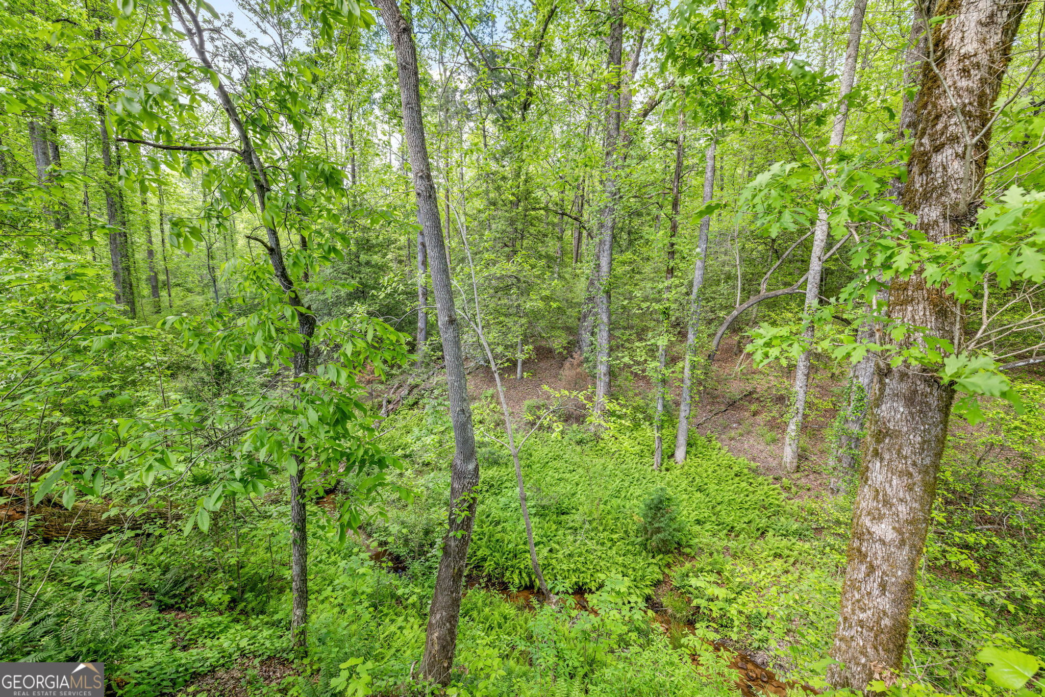 135 Mountain Ridge Drive Clarkesville GA 30523