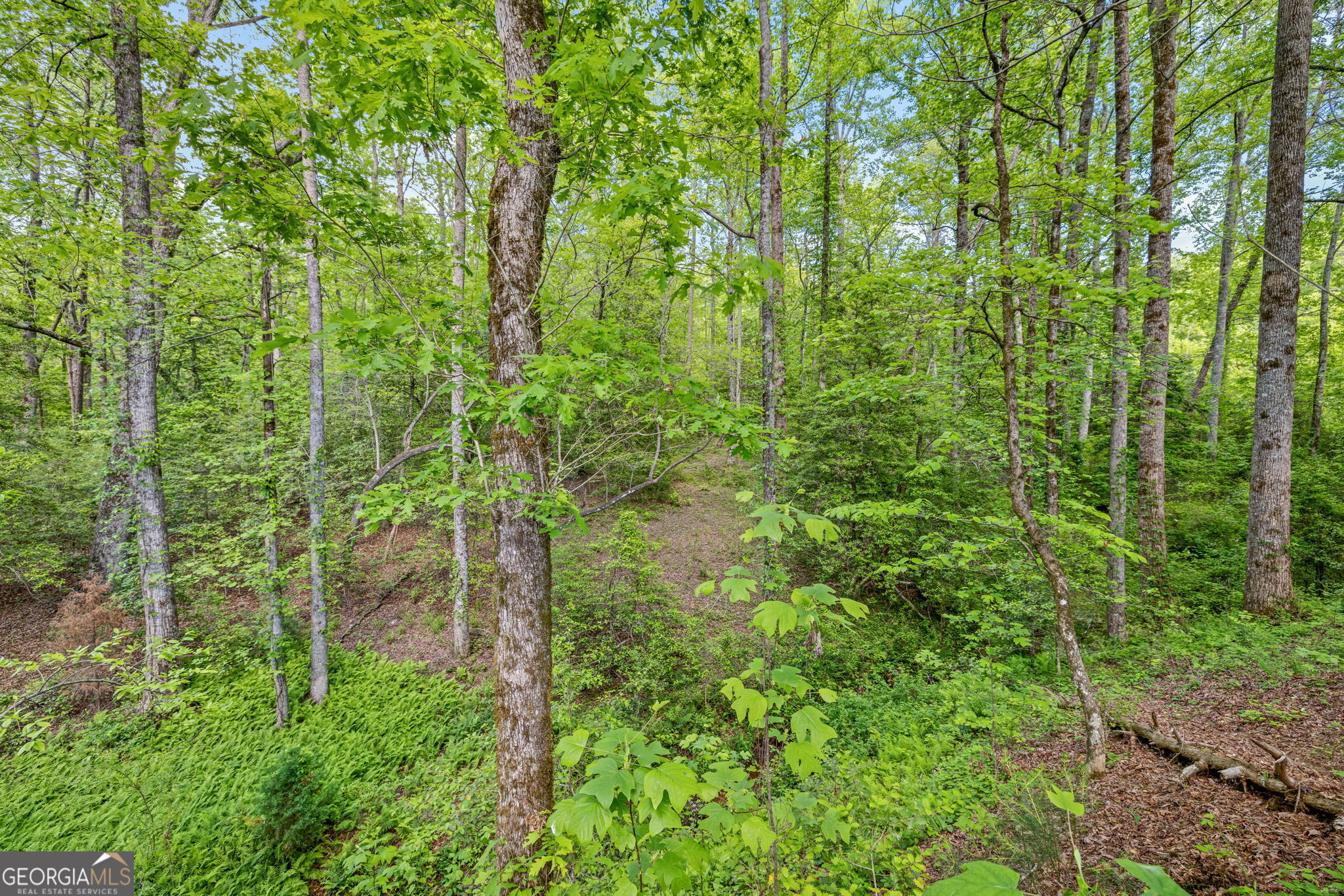 135 Mountain Ridge Drive Clarkesville GA 30523