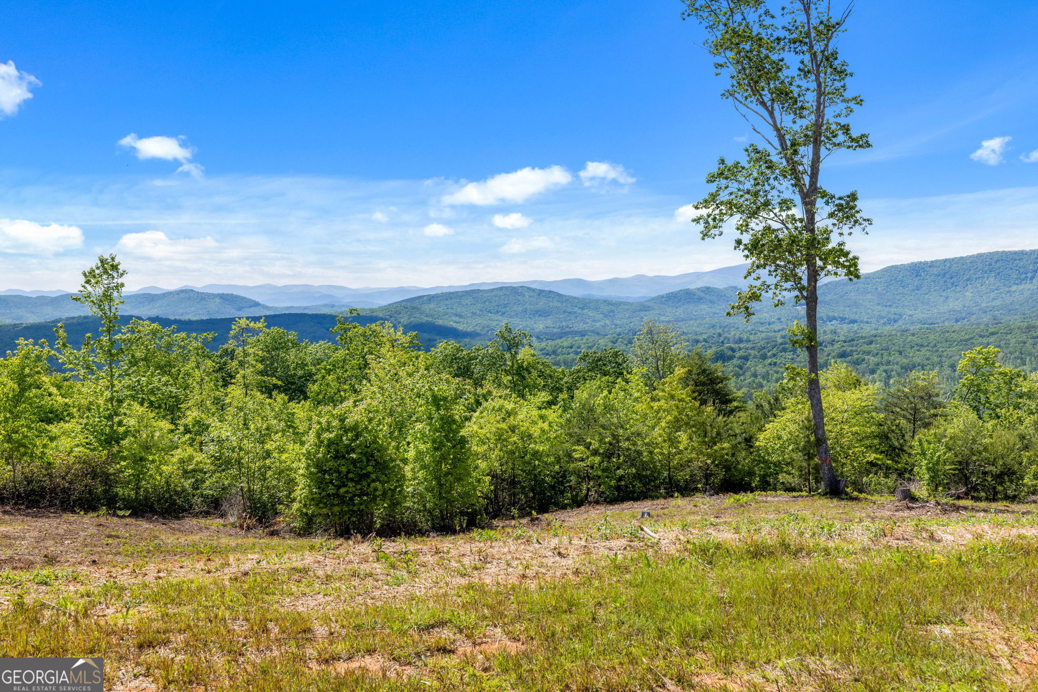 135 Mountain Ridge Drive Clarkesville GA 30523