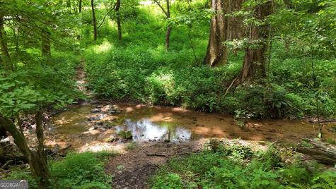 159 Prospect Trail Cleveland GA 30528