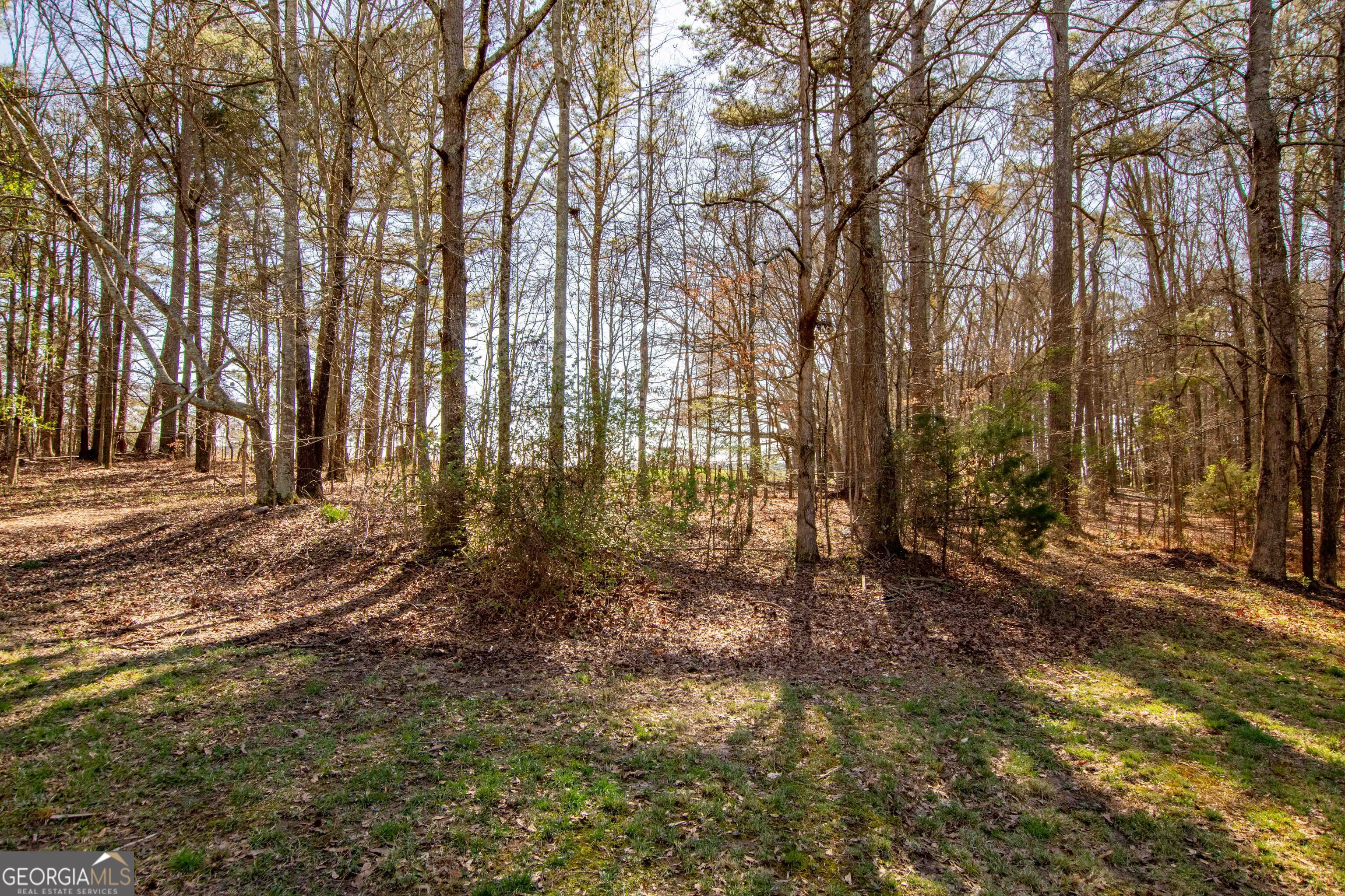 4204 Logans Bluff Loganville GA 30052