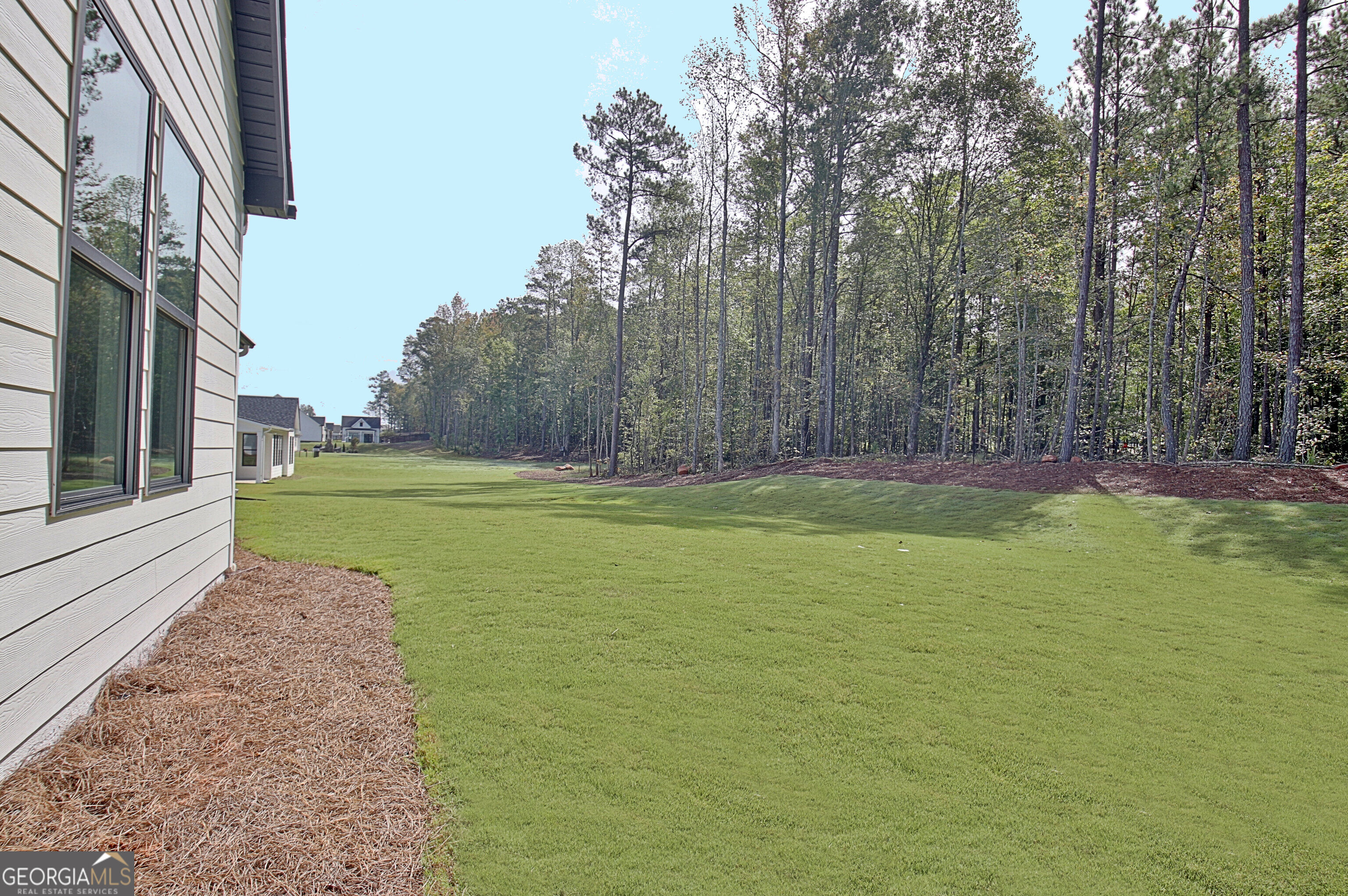 188 Ryeland Drive Senoia GA 30276