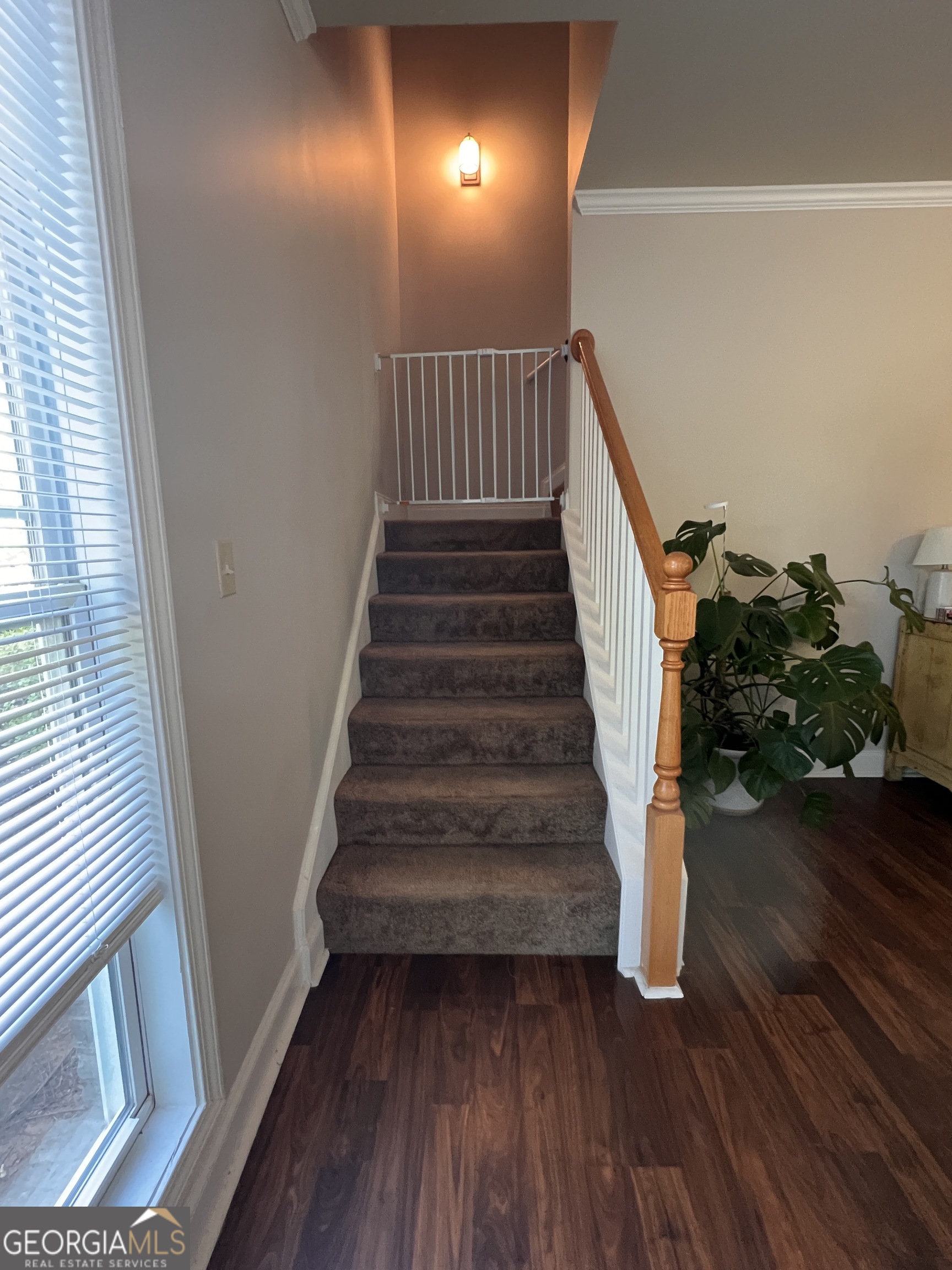 164 Foreman Drive Athens GA 30605