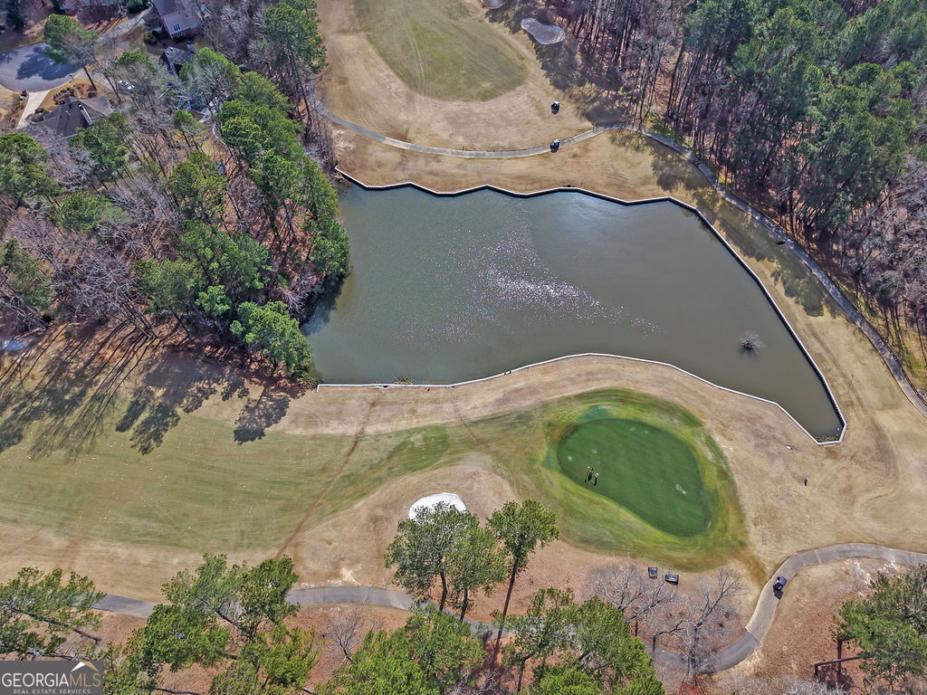 1420 Olde Forge Lane Woodstock GA 30189