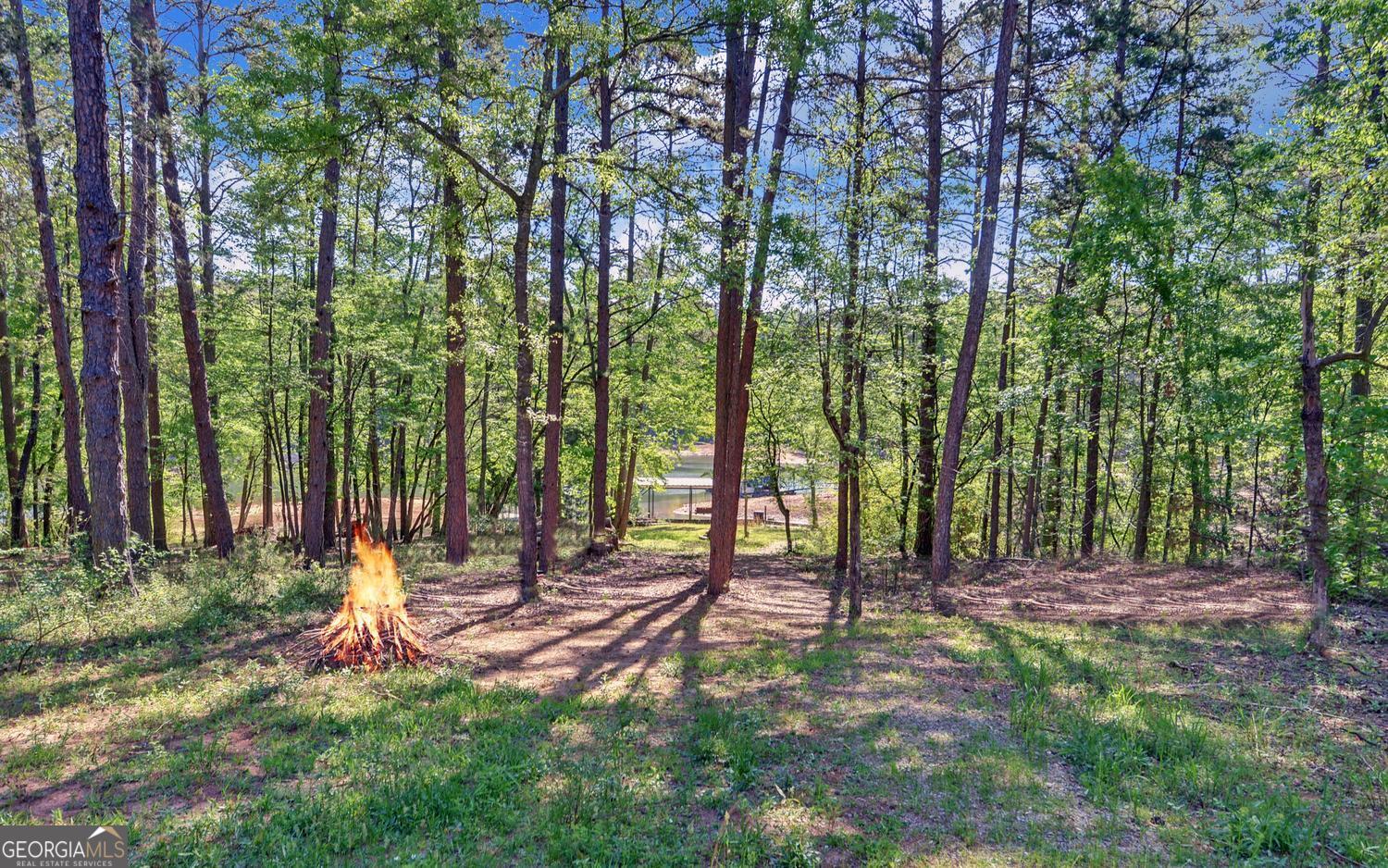 529 Chase Landing Road Martin GA 30557