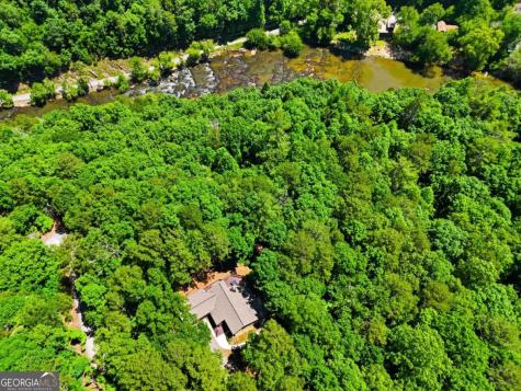 142 Armor Court Ellijay GA 30540