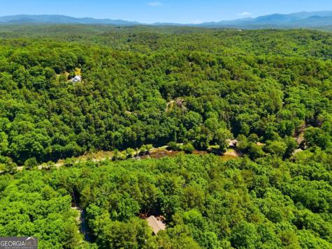 142 Armor Court Ellijay GA 30540