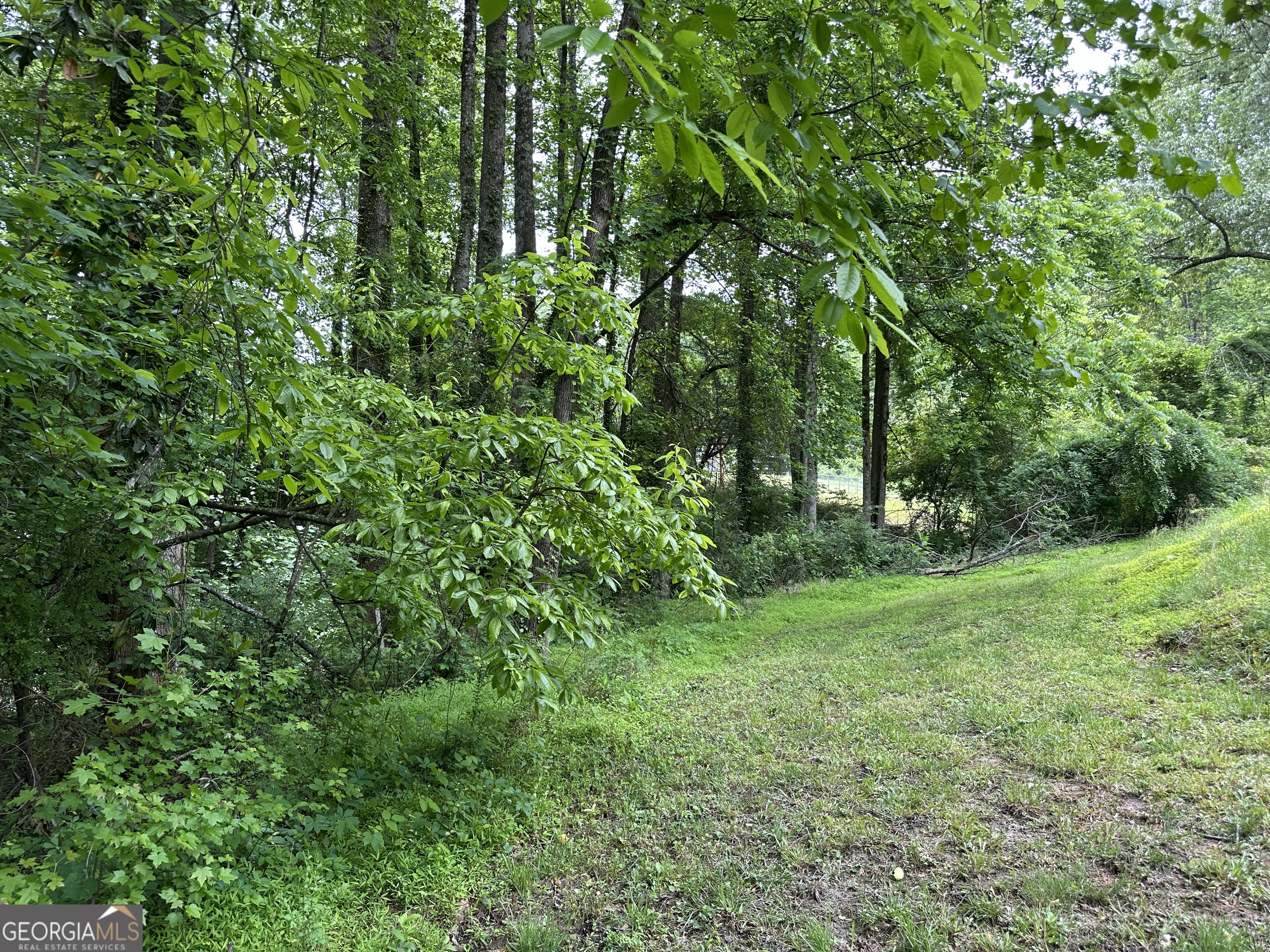 260 Lakey Lane Cornelia GA 30531