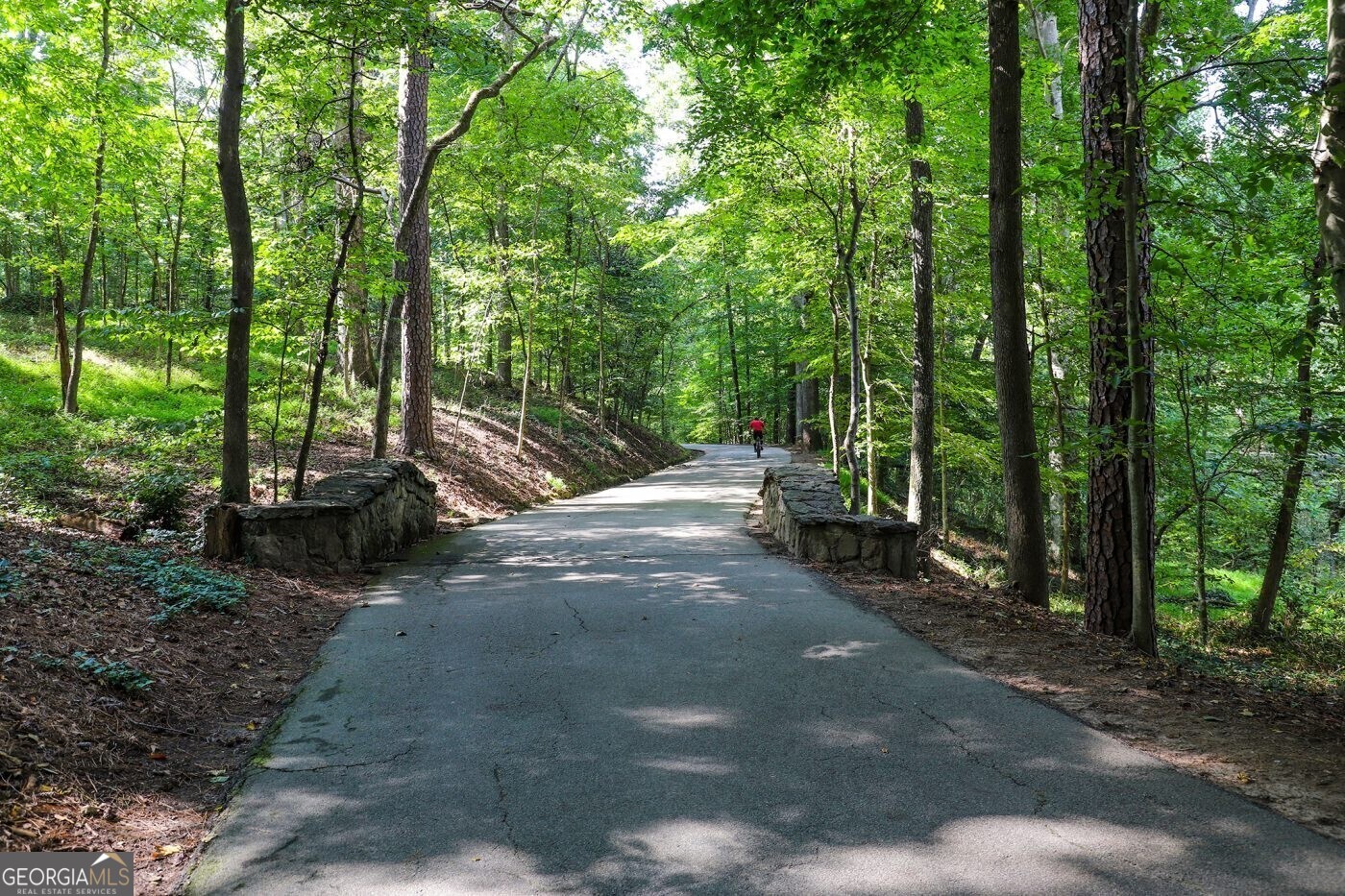 424 Cedar Dust Drive Decatur GA 30030