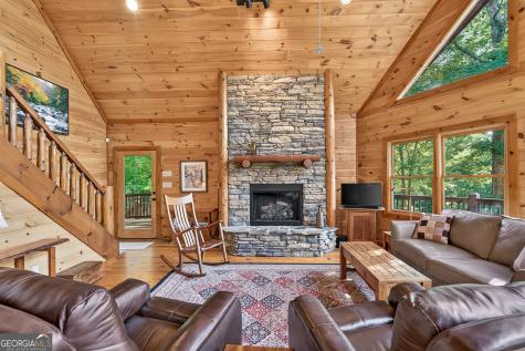 23 Dolores Drive Mineral Bluff GA 30559
