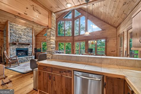 23 Dolores Drive Mineral Bluff GA 30559