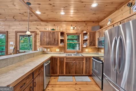 23 Dolores Drive Mineral Bluff GA 30559