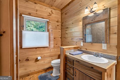 23 Dolores Drive Mineral Bluff GA 30559