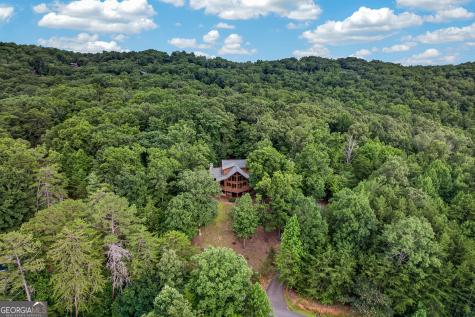 23 Dolores Drive Mineral Bluff GA 30559