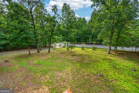 23 Dolores Drive Mineral Bluff GA 30559
