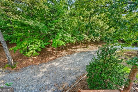 23 Dolores Drive Mineral Bluff GA 30559
