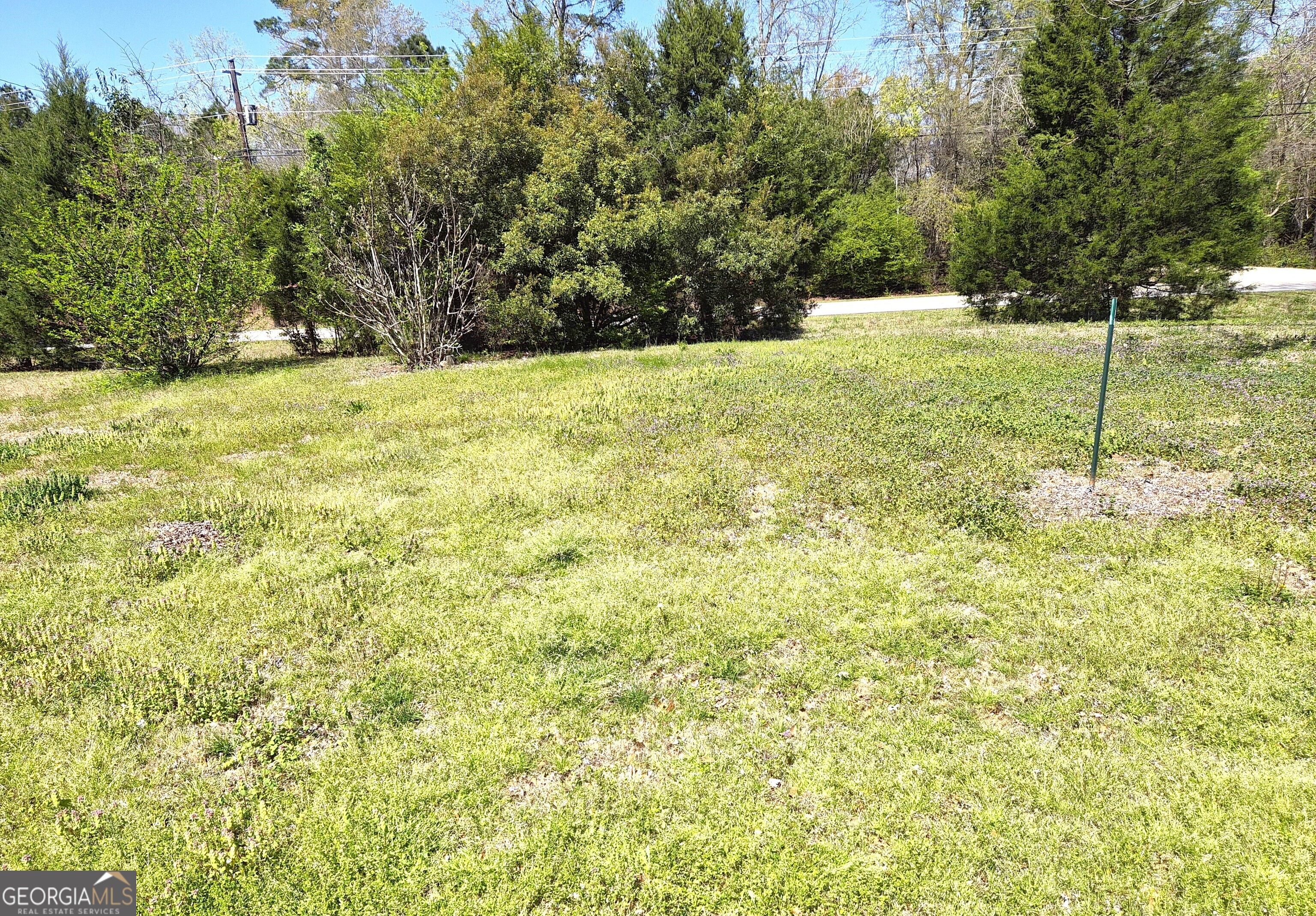 12122 Warm Springs Road Ellerslie GA 31807