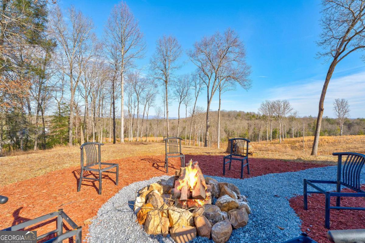 187 Briar Woods Lane Blue Ridge GA 30513