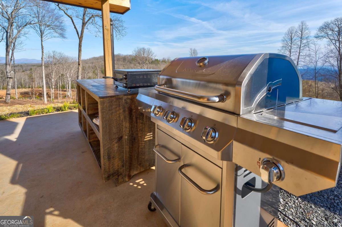 187 Briar Woods Lane Blue Ridge GA 30513