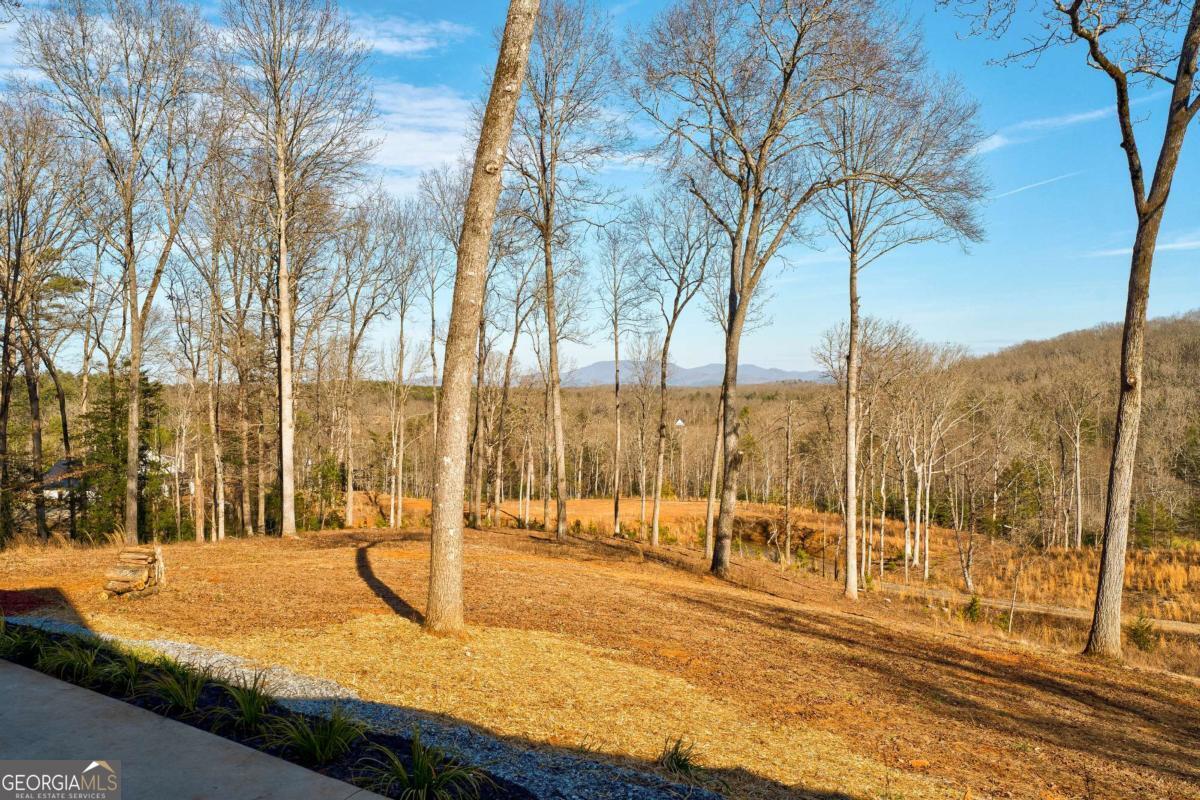 187 Briar Woods Lane Blue Ridge GA 30513