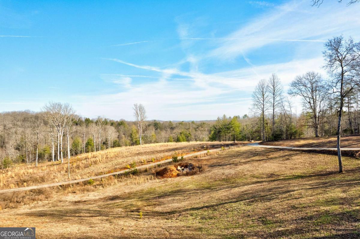 187 Briar Woods Lane Blue Ridge GA 30513