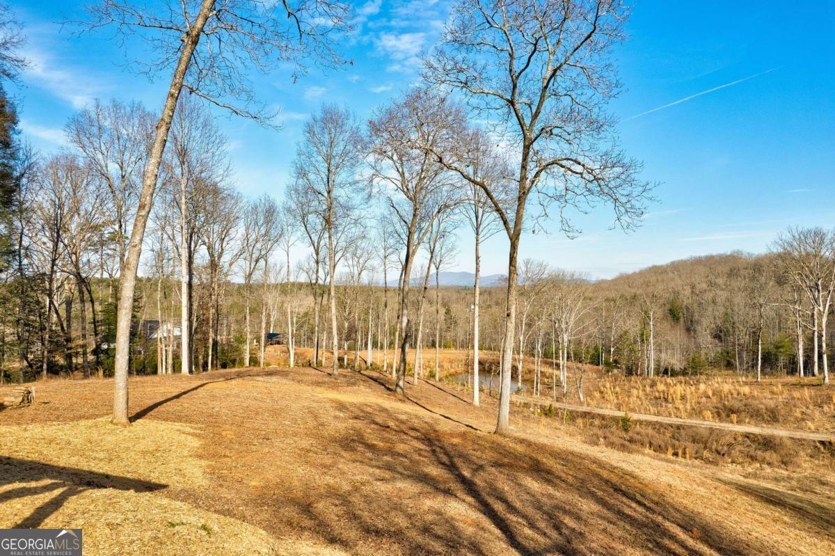 187 Briar Woods Lane Blue Ridge GA 30513