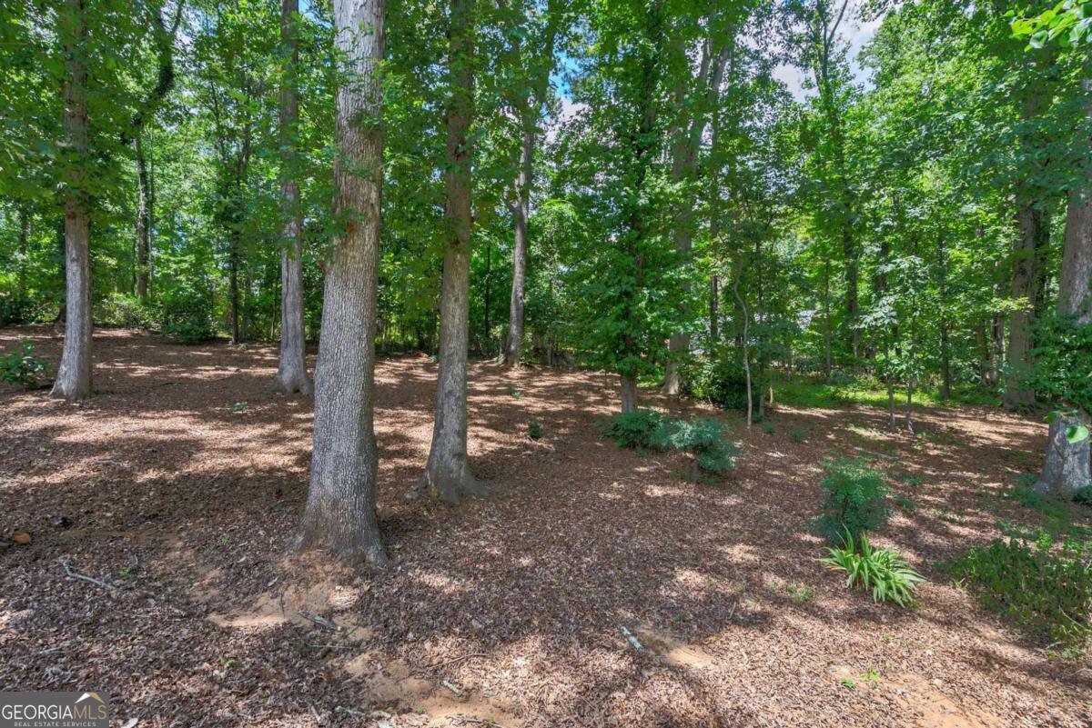 1291 Millstone Run Watkinsville GA 30677