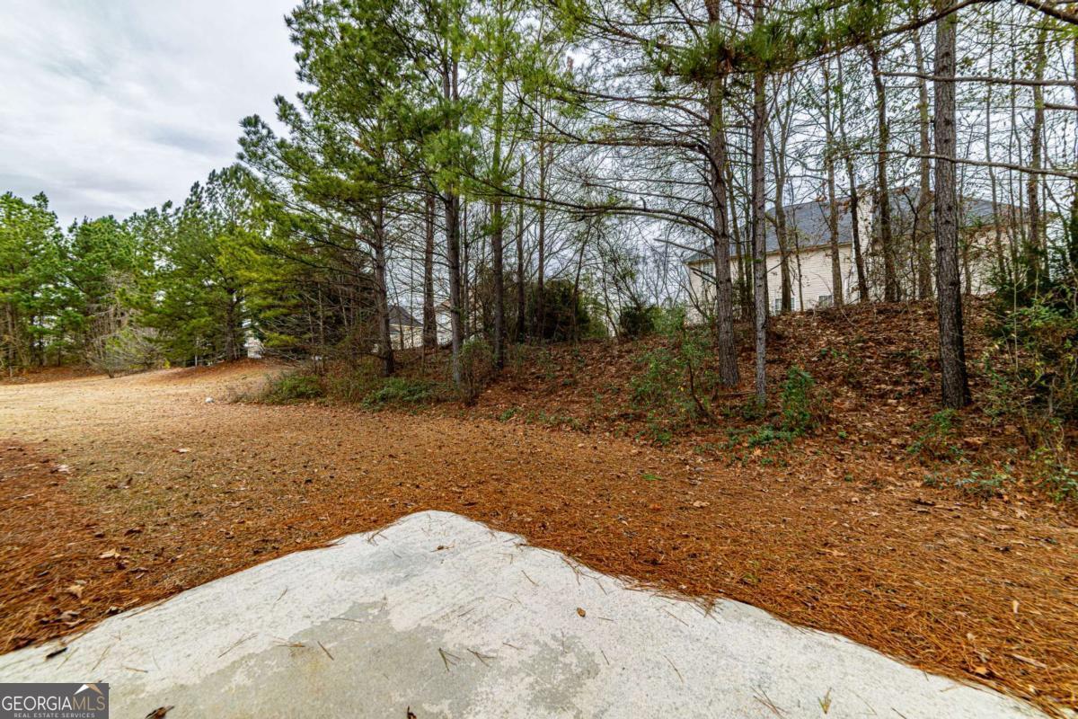 3977 Ambrose Court Ellenwood GA 30294