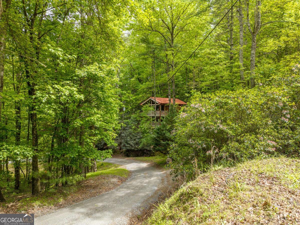 28 Briar Creek Road Ellijay GA 30540