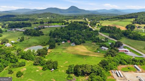7482 Duncan Bridge Road Cleveland GA 30528