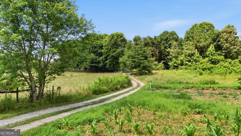 7482 Duncan Bridge Road Cleveland GA 30528