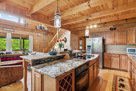 462 Lyric Lane Ellijay GA 30540