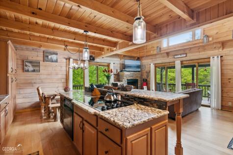 462 Lyric Lane Ellijay GA 30540