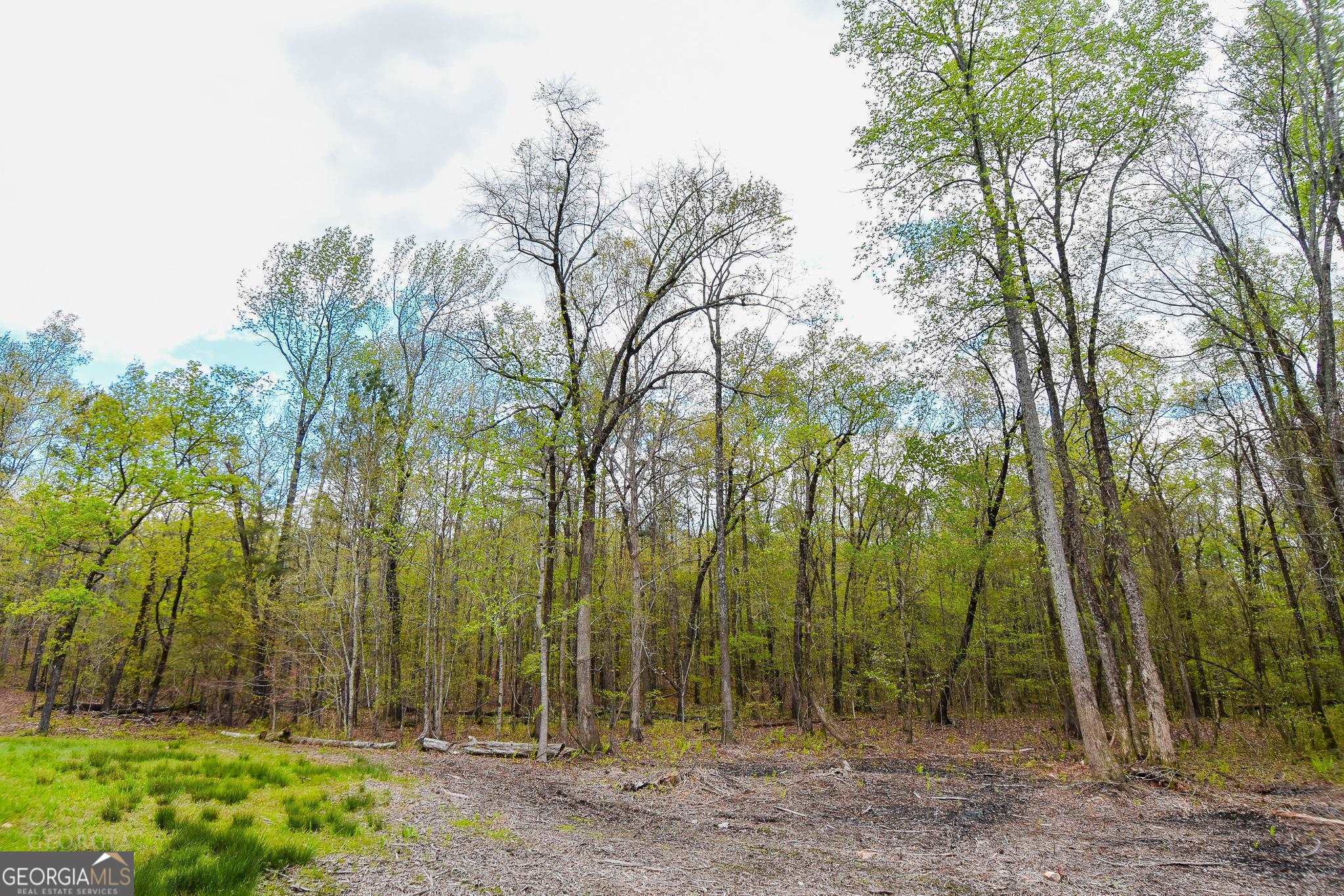 928 Highway 19 Meansville GA 30256
