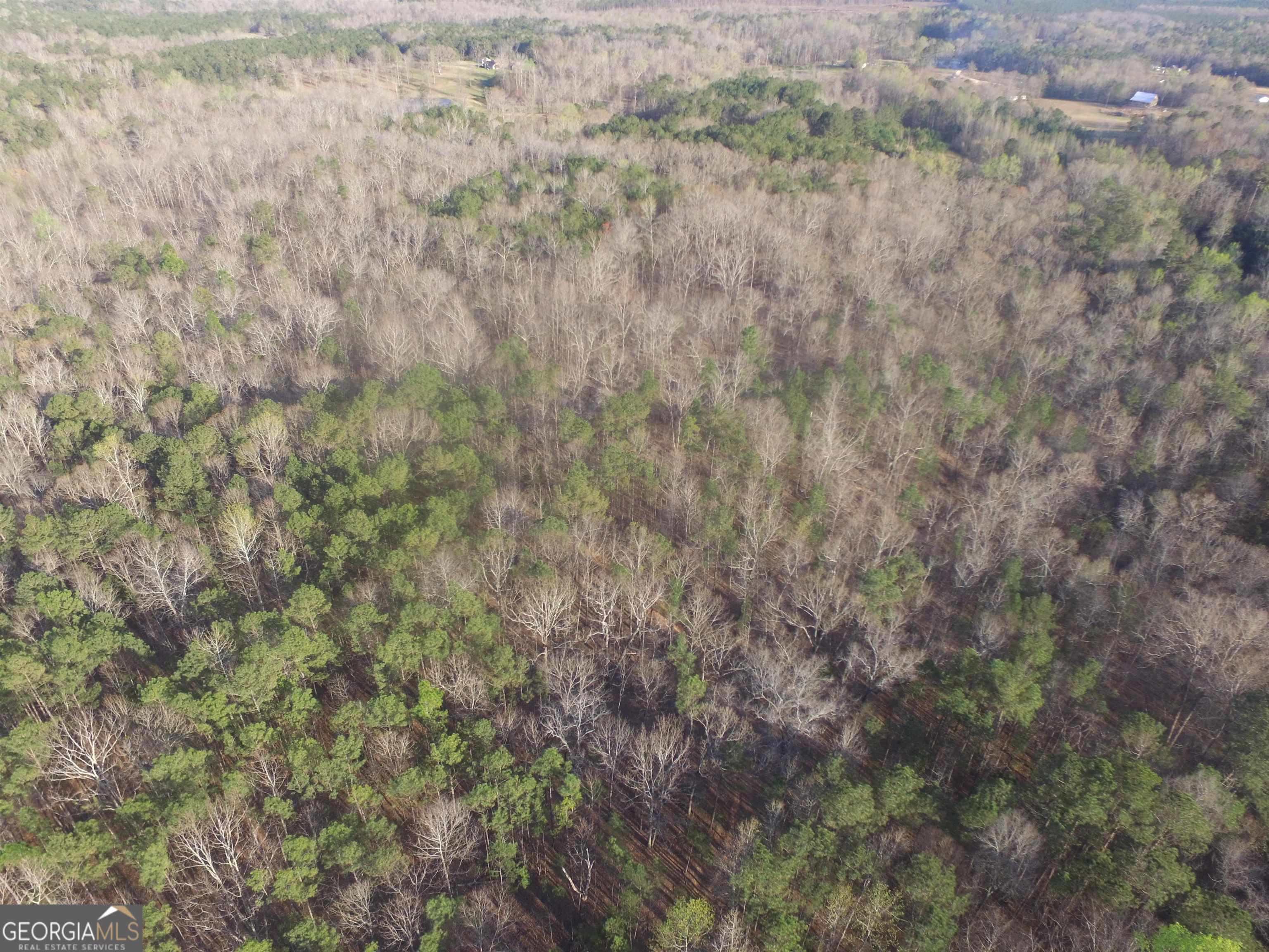 928 Highway 19 Meansville GA 30256