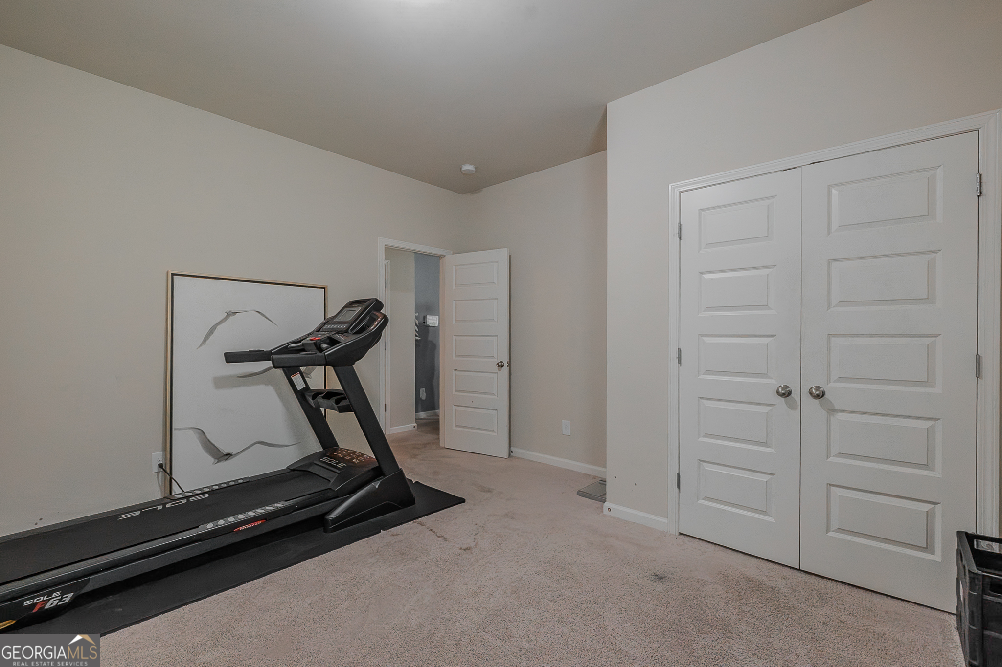 1180 Lehavre Court Hampton GA 30228