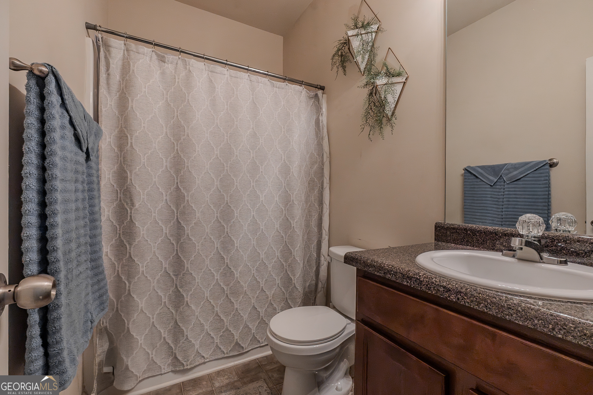 1180 Lehavre Court Hampton GA 30228